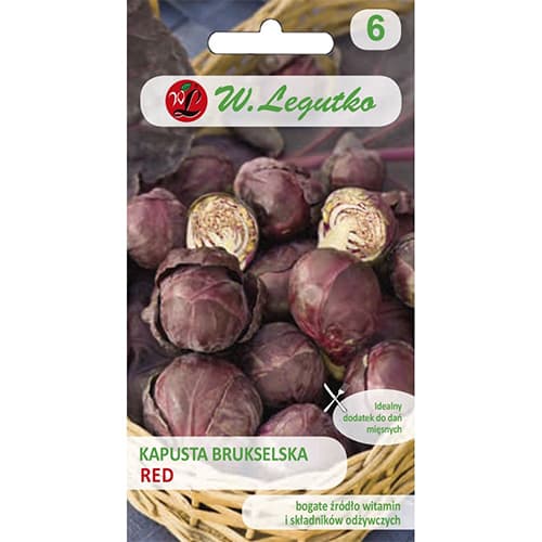 Brstični ohrovt Legutko slika 1 članek 69479