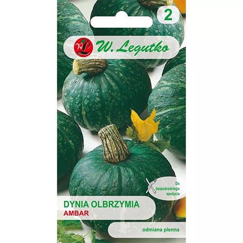 Buča Ambar slika 1 članek 78453