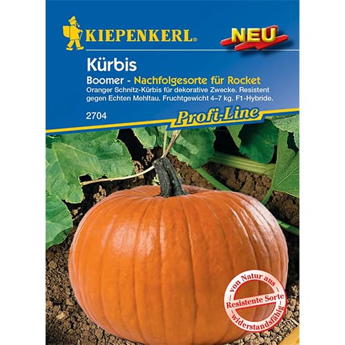 Buča Boomer F1 slika 1 članek 87786