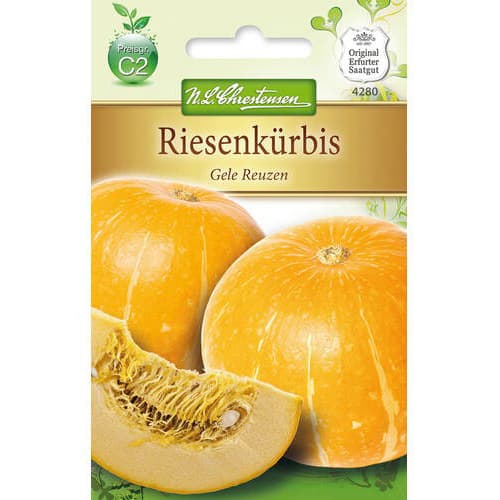 Buča Gele Reuzen slika 1 članek 78795