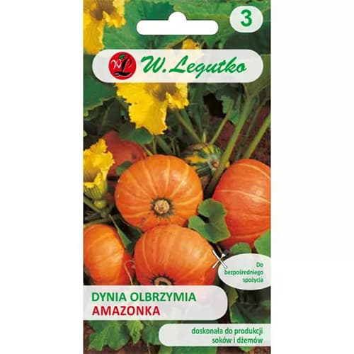 Buča gigant Amazon slika 1 članek 69459