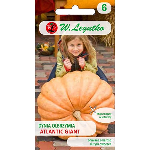 Buča gigant Atlantic Giant slika 1 članek 69460