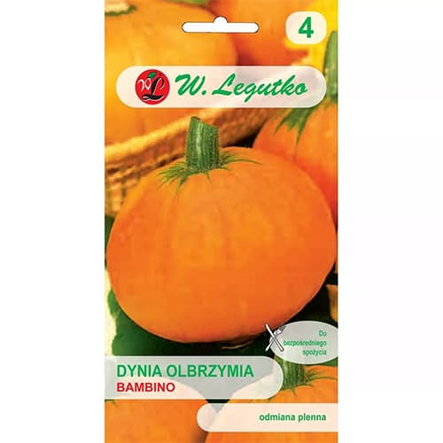 Buča gigant Bambino slika 1 članek 69461