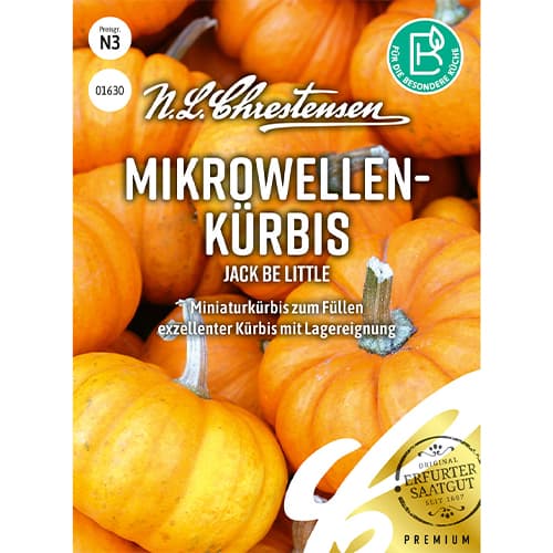 Buča Jack Be Little slika 1 članek 86060