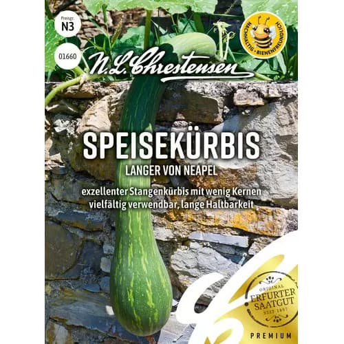 Buča Langer von Neapel slika 1 članek 96496