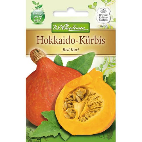 Buča Red Kuri slika 1 članek 78796