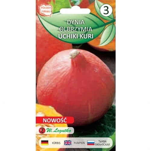 Buča Uchiki Kuri (Hokkaido) slika 1 članek 78455