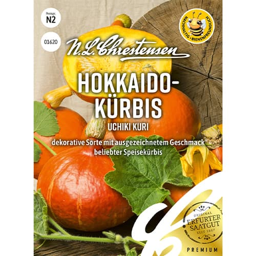 Buča Uchiki Kuri slika 1 članek 86050