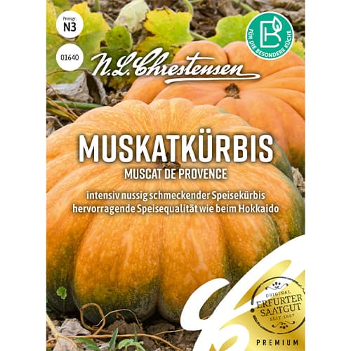 Buče Muscat de Provence slika 1 članek 86071