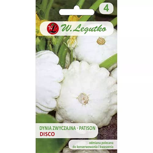 Bučka patišon Disco slika 1 članek 78462