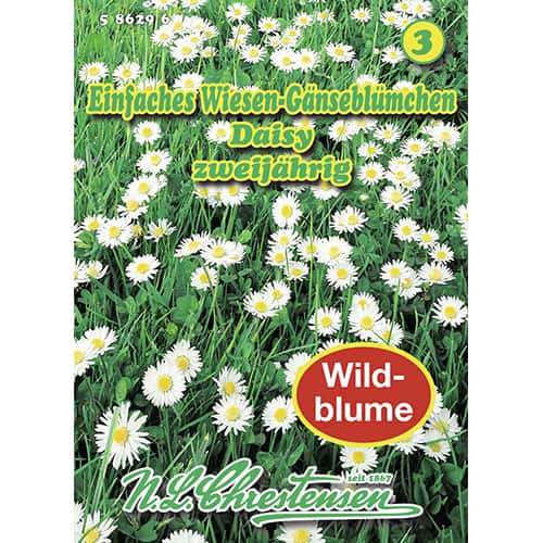 Marjetica Daisy slika 1 članek 87801