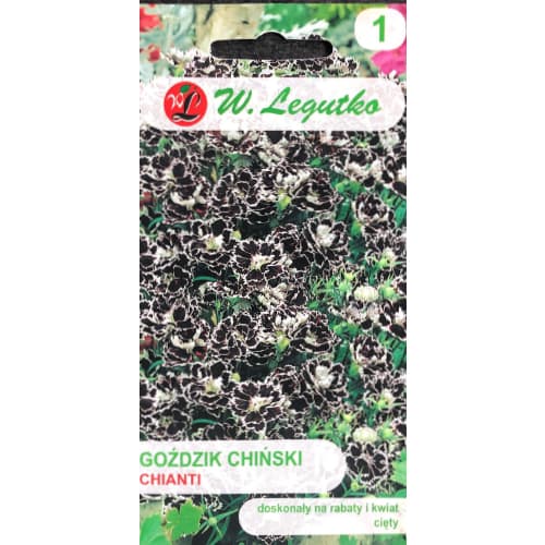 Chianti kitajski nageljnove žbice slika 1 članek 69592