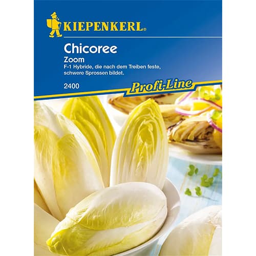 Cikorija Zoom F1 slika 1 članek 86424