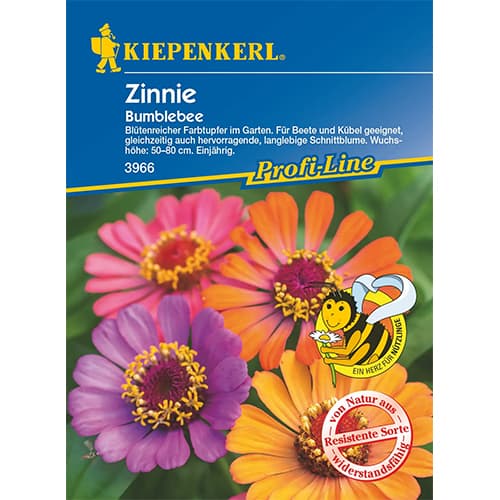 Cinija Bumblebee slika 1 članek 87268
