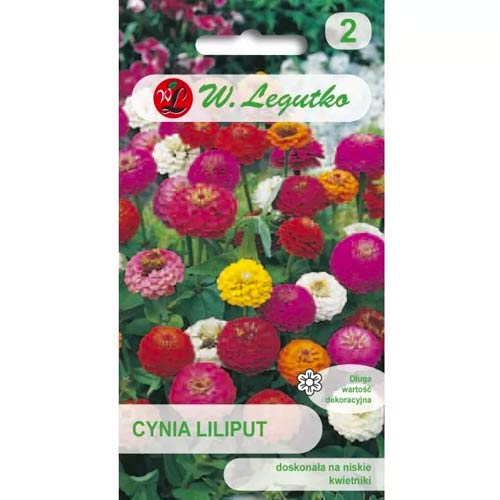 Cinija elegantna Liliput, mešanica slika 1 članek 69578