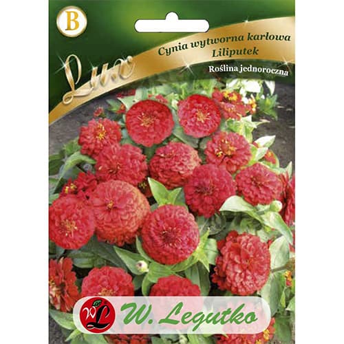 Cinija Lilliputek rdeči škrat slika 1 članek 78662