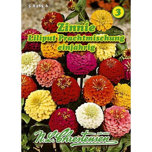 Cinija - mešanica slika 1 članek 87823