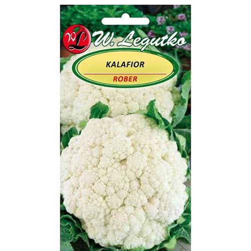 Cvetača Rober slika 1 članek 86870