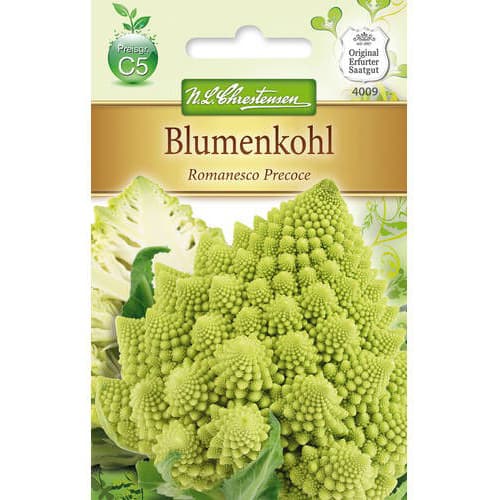 Cvetača Romanesco Precoce slika 1 članek 78712