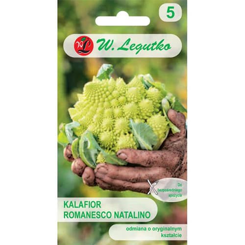 Cvetača Romanesco slika 1 članek 69477