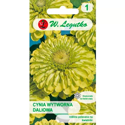 Dalija cinija Envy slika 1 članek 78544