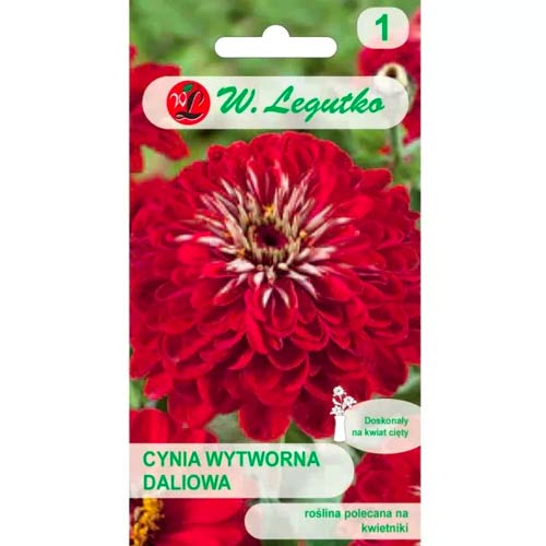 Dalija cinija Škrlatni plamen slika 1 članek 69576