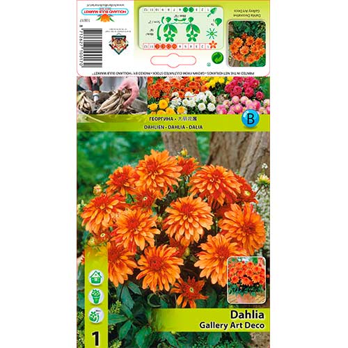 Dalija Gallery Art Deco slika 1 članek 76207