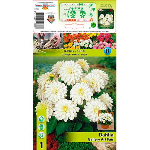 Dalija Gallery Art Fairy slika 1 članek 76208