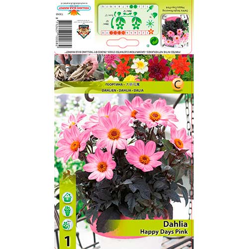 Dalija Happy Days Pink slika 1 članek 76212