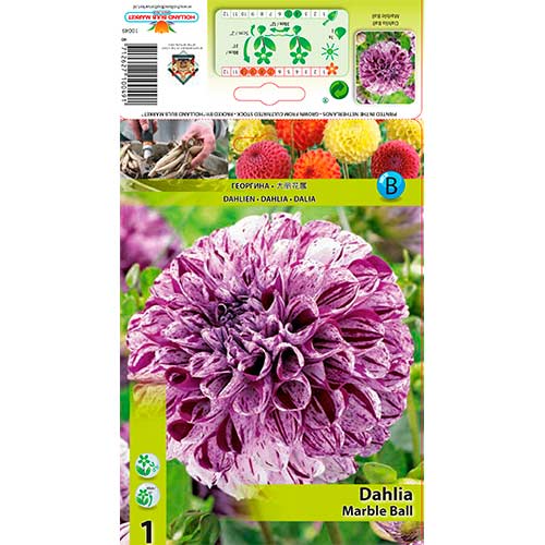 Dalija Marble Ball slika 1 članek 76215