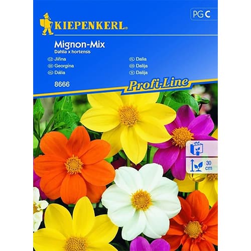 Dalija Mignon, večbarvna mešanica slika 1 članek 96525