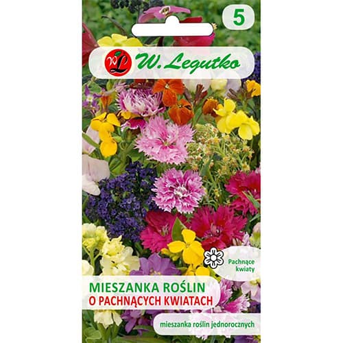 Dišeče rože, večbarvna mešanica slika 1 članek 69608