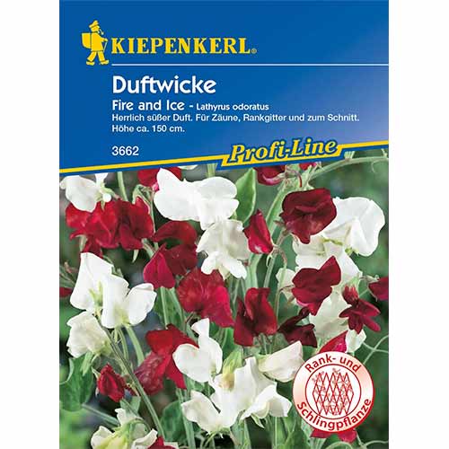 Dišeči grahor Fire and Ice slika 1 članek 96530