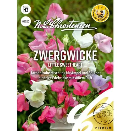 Dišeči grahor Little Sweetheart slika 1 članek 87352