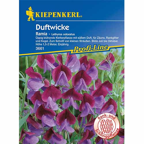 Dišeči grahor Ramia slika 1 članek 96531