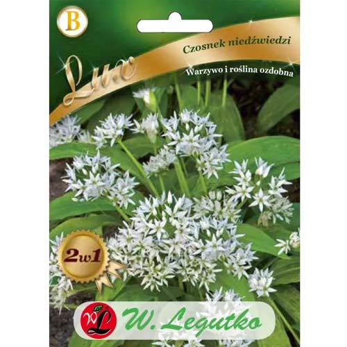 Divji česen slika 1 članek 50128