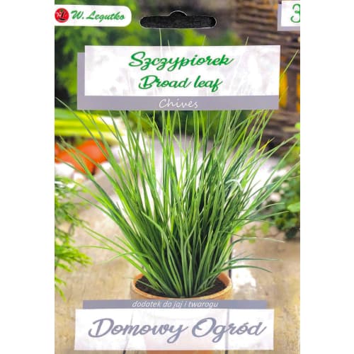 Drobnjak Broad Leaf slika 1 članek 69656