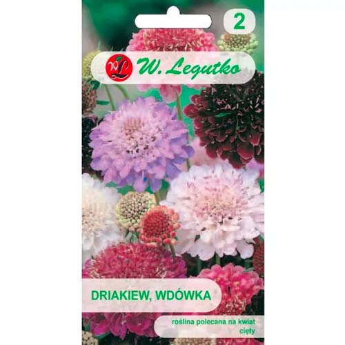 Dryad Widow, mix slika 1 članek 96698