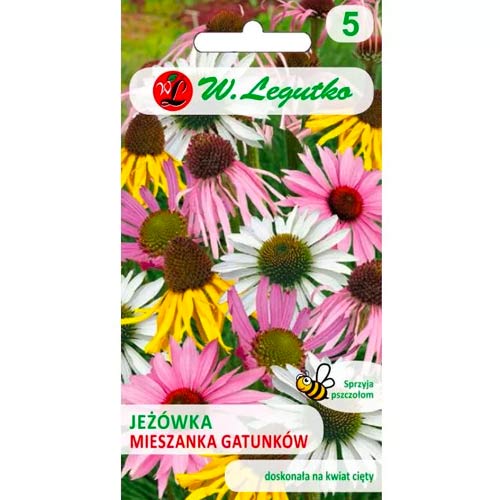 Echinacea, mešanica slika 1 članek 50104