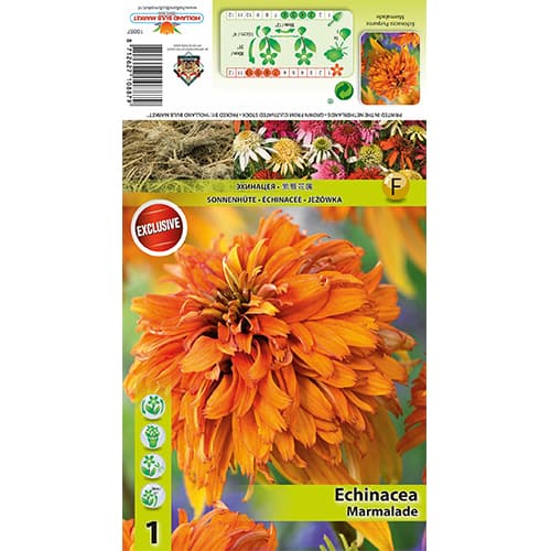 Ehinaceja Marmalade slika 1 članek 77832