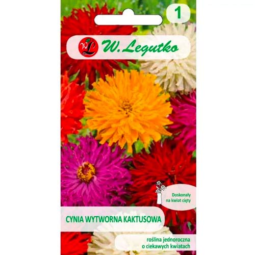 Elegantna kaktus cinija, mix slika 1 članek 86820