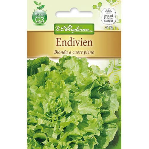 Endivija Bionda a cuore pieno slika 1 članek 78763