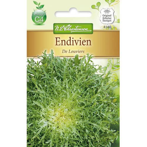 Endivija De Louviers slika 1 članek 78765