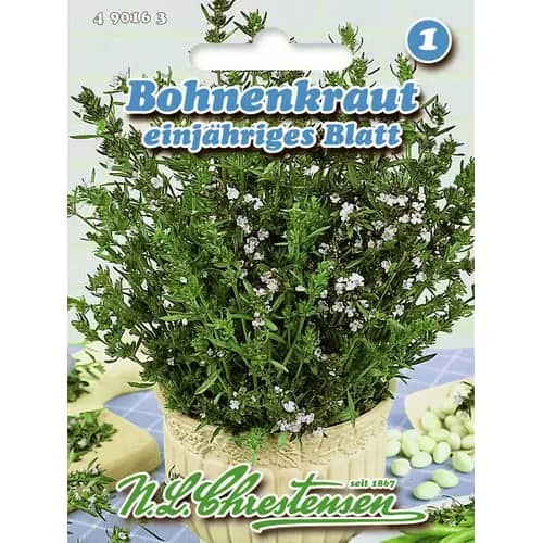 Enoletni timijan slika 1 članek 96466