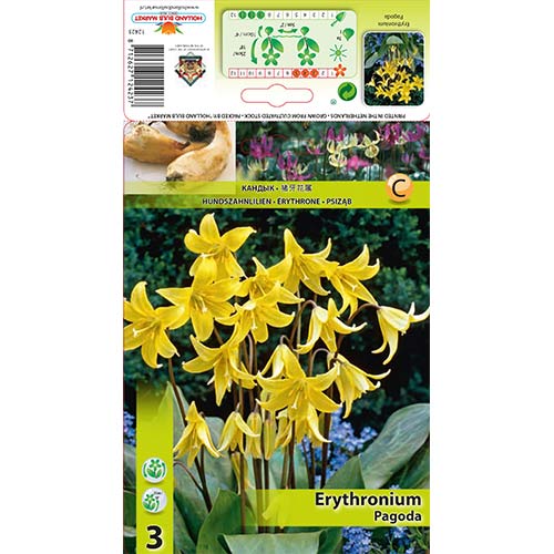 Pasji zob Pagoda slika 1 članek 67350