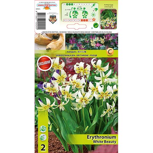 Pasji zob White Beauty slika 1 članek 67351