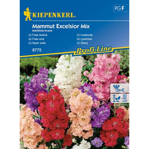 Rumenkasti grintavec Mammut Excelsior, večbarvna mešanica slika 1 članek 96558