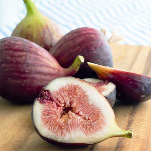 Figa Black Mision, С2 slika 1 članek 6928