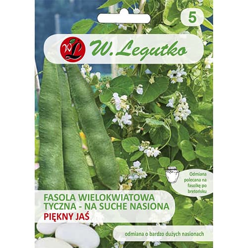 Fižol Beautiful Hansel slika 1 članek 86854