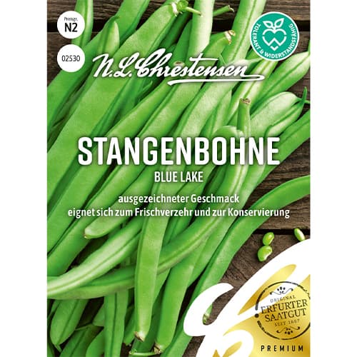 Fižol Blue Lake slika 1 članek 86096